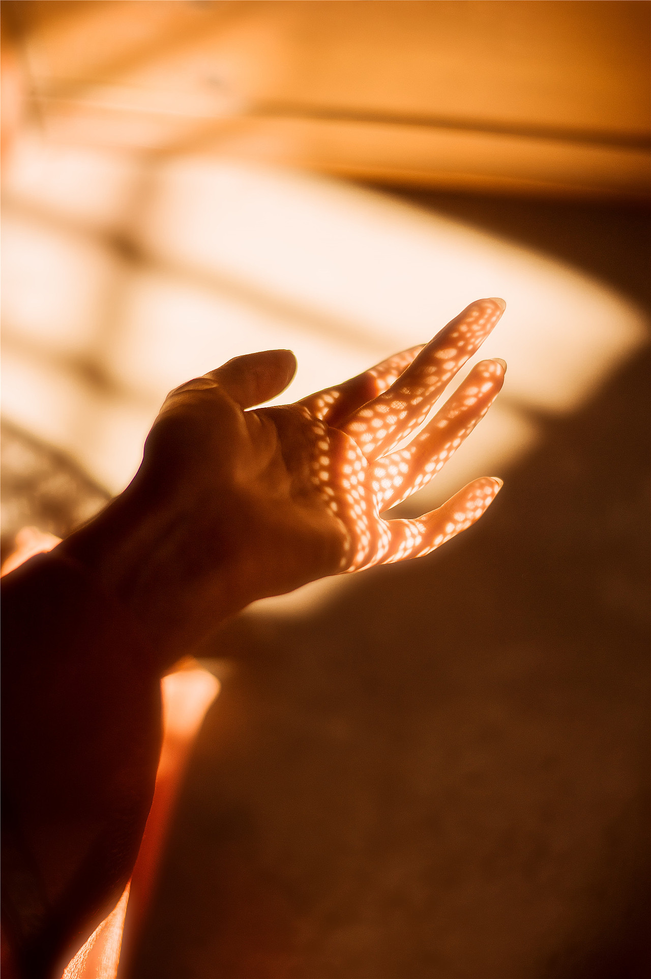 《泽梦集·承影流光》