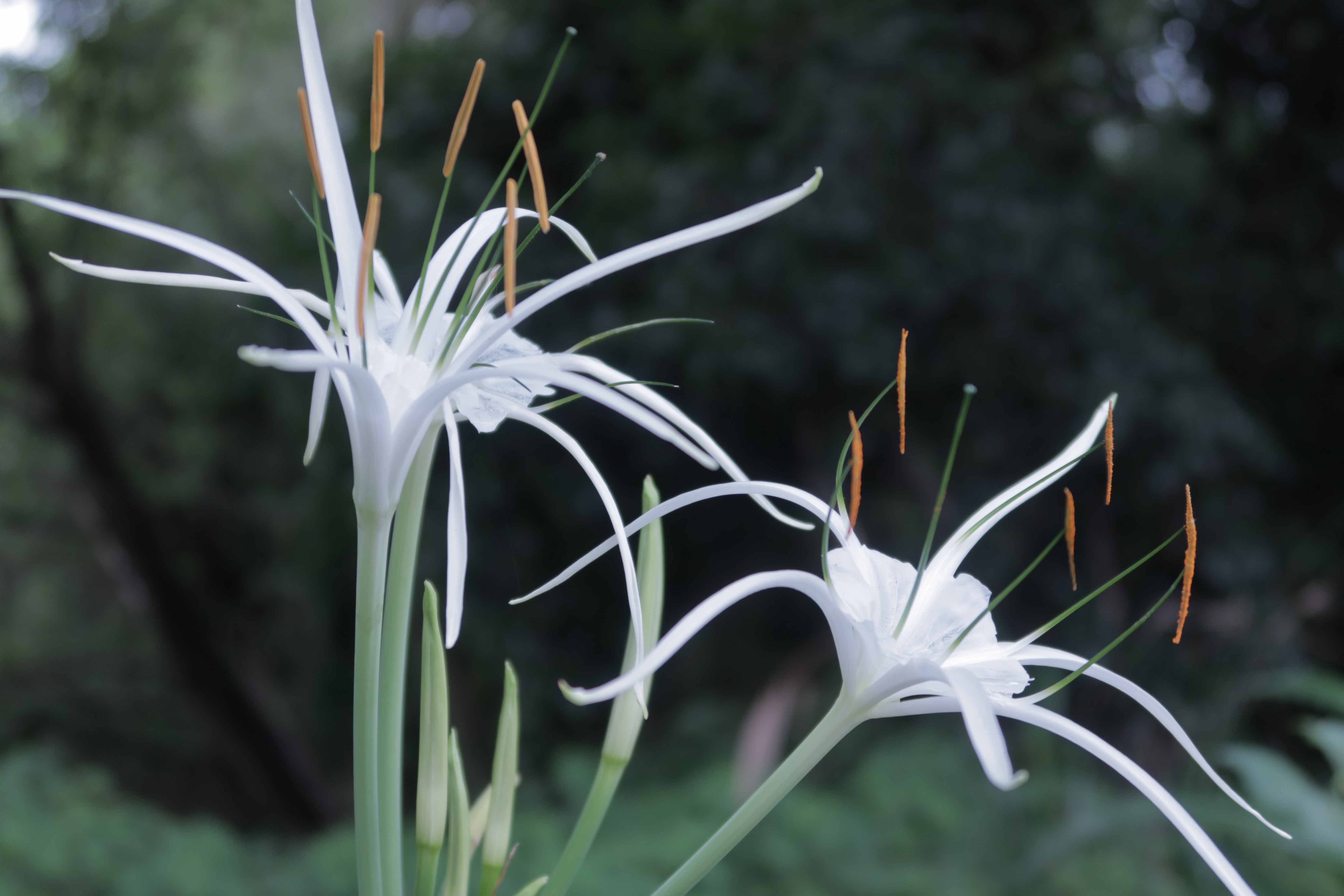 maruko媛的个人主页（背景预览） - 主页背景设置 - 站酷设计师maruko媛原创素材 - 站酷ZCOOL