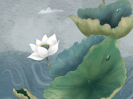 荷花插画