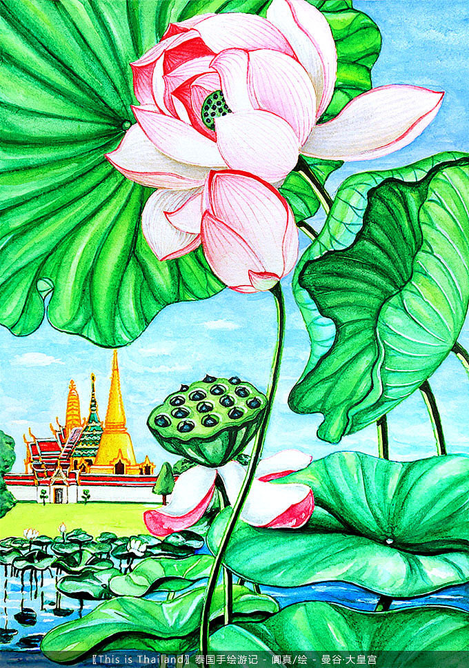 【this is thailand】泰国手绘风景插画 _阗真-站酷zcool