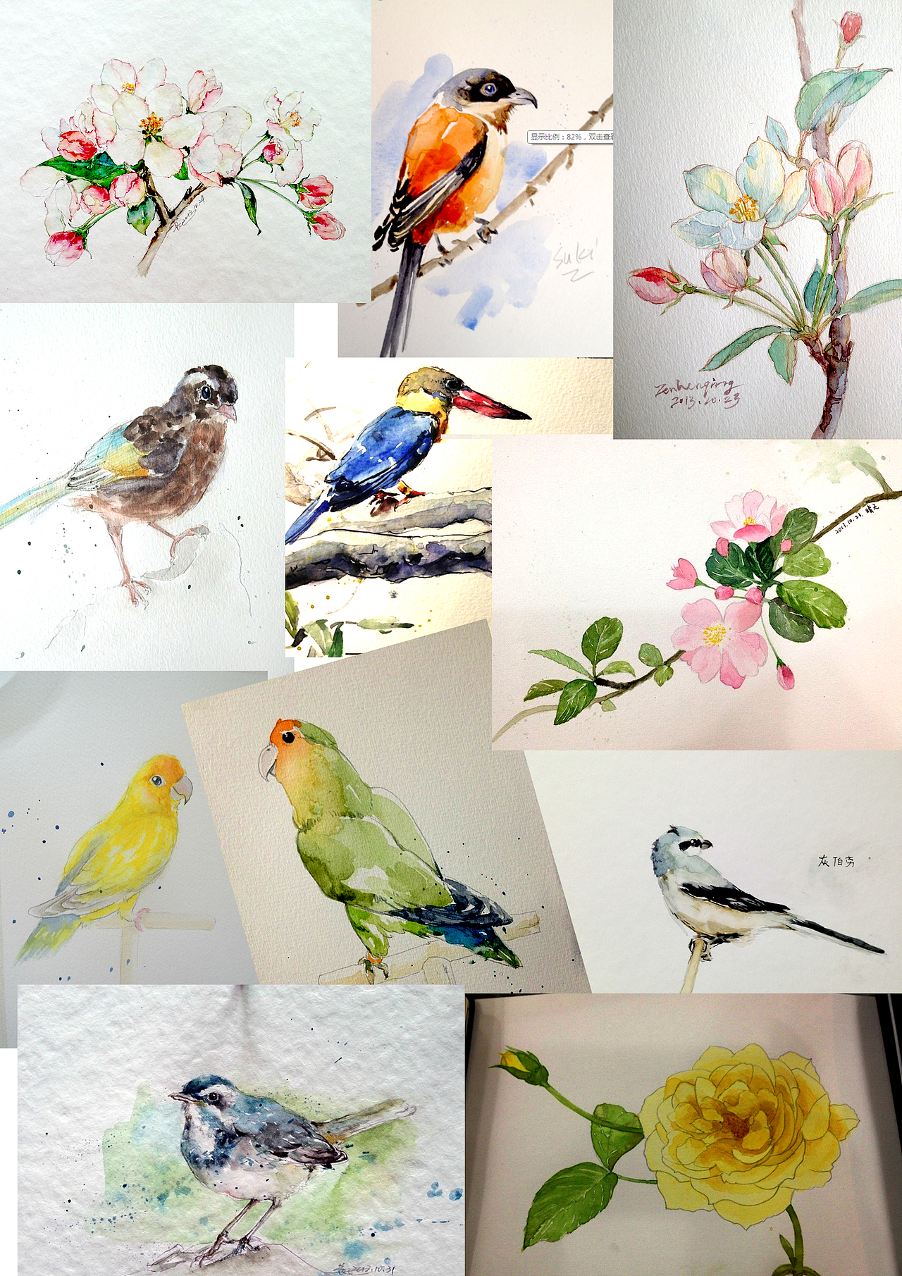 手绘水彩花鸟网络班学员作品汇总