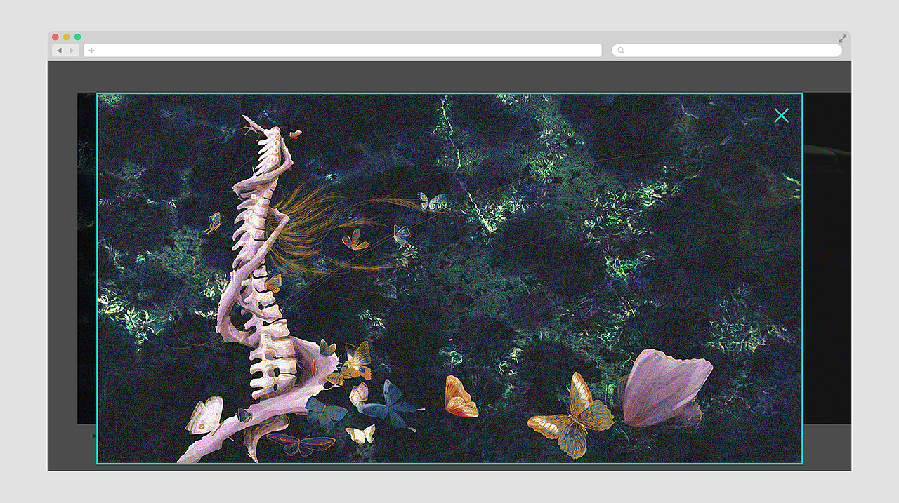 作品浏览弹出页面