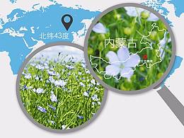電商詳情