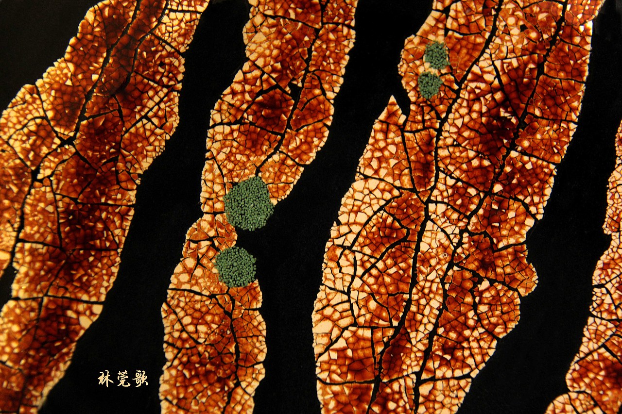 《细胞·映像》