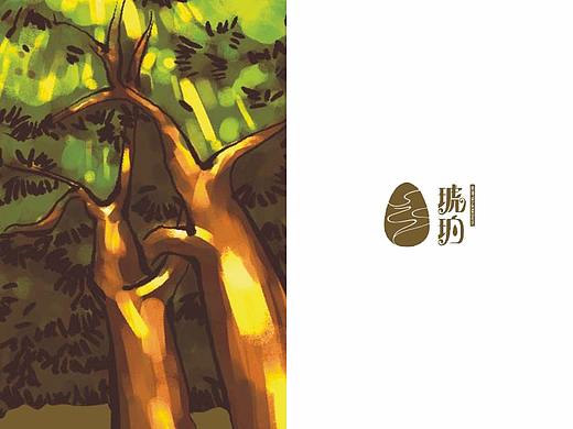 琥珀茶油/包装