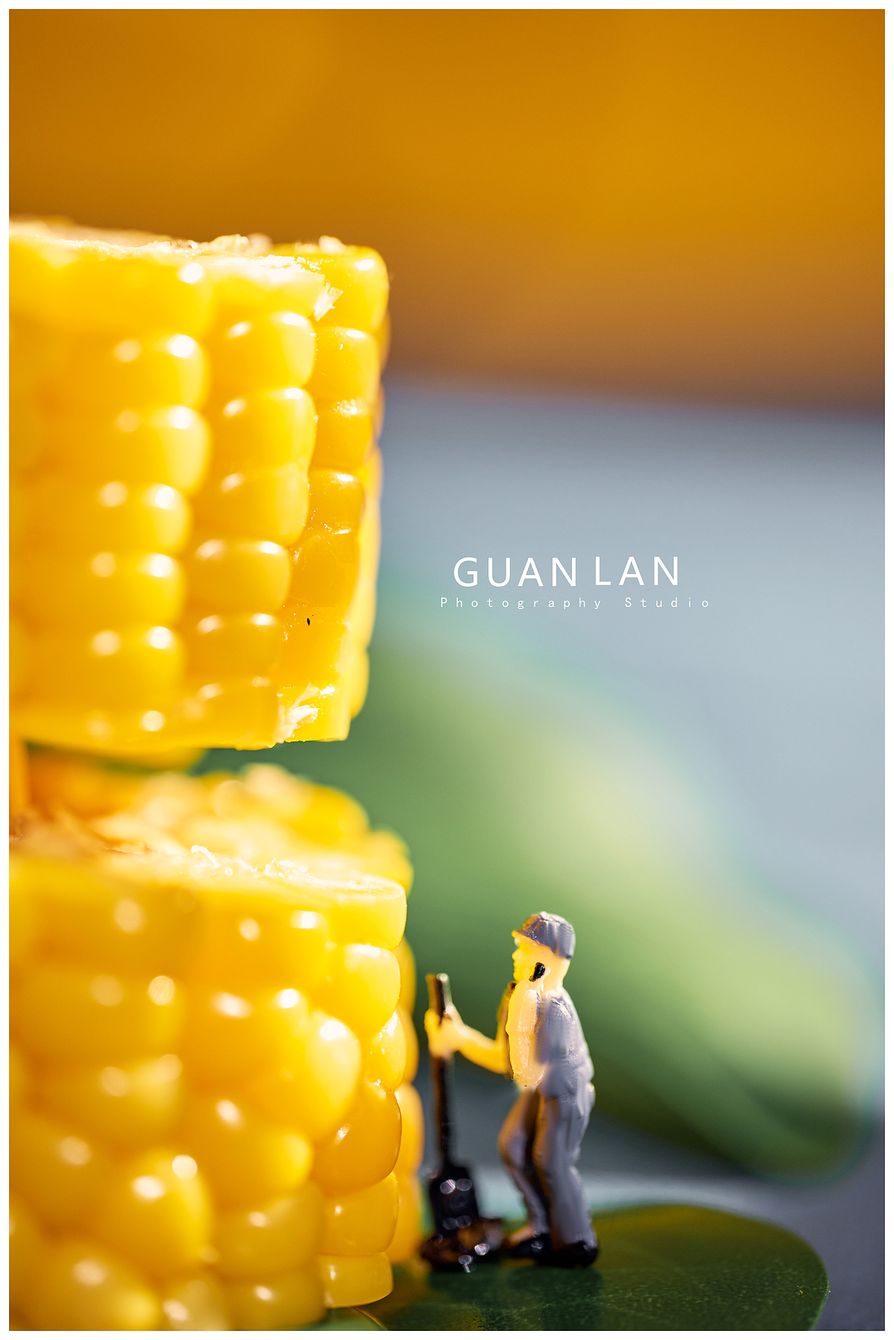 玉米（图ZMjE3ODM3MjI4） - 产品摄影 - 站酷设计师观澜摄影工作室原创素材 - 站酷ZCOOL