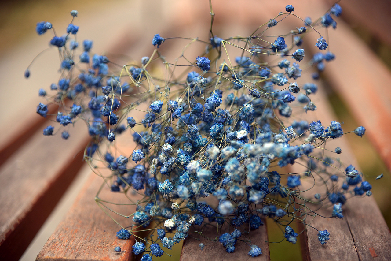 干花勿忘我 薰衣草 小雏菊 满天星，（图ZNDM0NzE5MzI=） - 产品摄影 - 站酷设计师鱼头疼原创素材 - 站酷ZCOOL