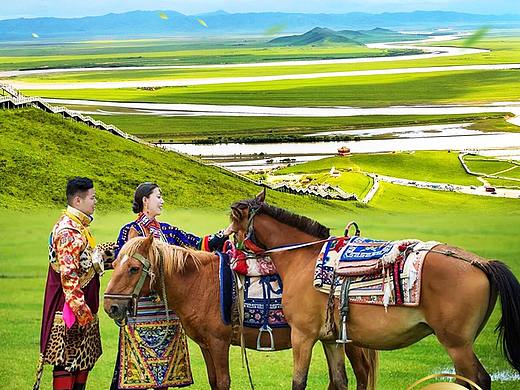 草原 若爾蓋 呼倫貝爾（個(gè)人主頁(yè)-ZNDYxNzEyMTY=） - 海報(bào) - 站酷設(shè)計(jì)師旅游平面設(shè)計(jì)原創(chuàng)素材 - 站酷ZCOOL