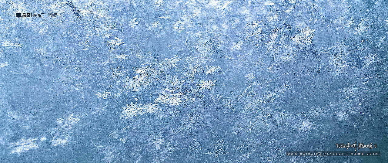 呆呆瞎拍 | 生·活（图ZMjg5MzU4NTUy） - 人文/纪实摄影 - 站酷设计师呆小东原创素材 - 站酷ZCOOL