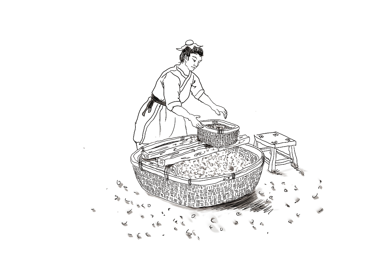 食养-祁州八药伴手礼包装设计（毕业设计）