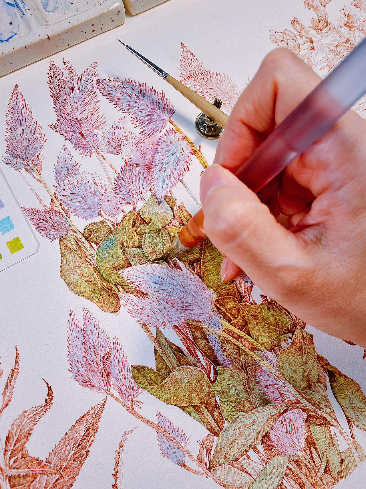 蘸水笔针管笔｜三种尾巴草（图ZMzc0NjQ2MzY4） - 艺术插画 - 站酷设计师CatCastleDZ原创素材 - 站酷ZCOOL