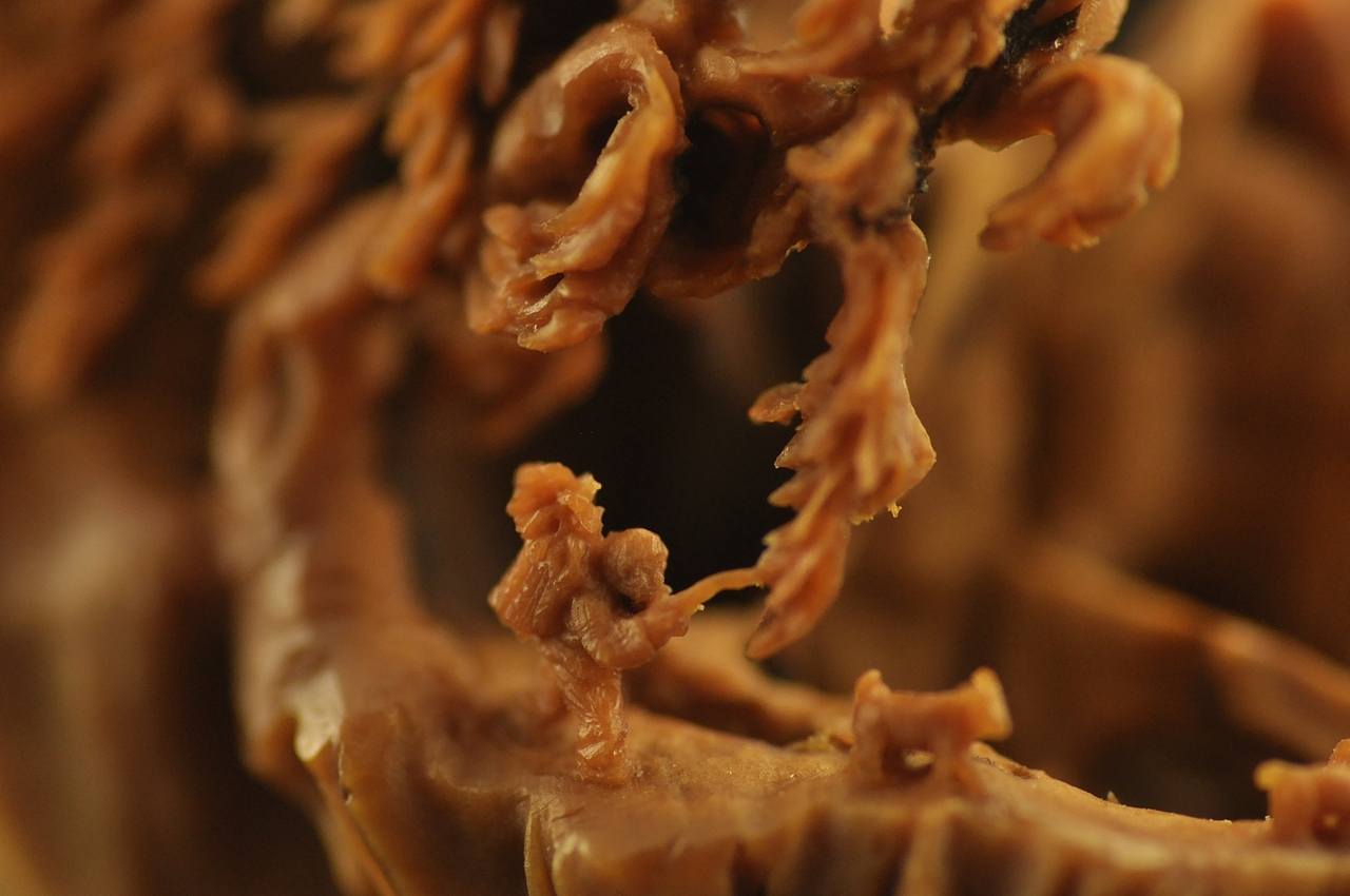 逸秋雕刻作品 《牧归》（图ZODMxMDcxNDg=） - 工艺品设计 - 站酷设计师yqdkys原创素材 - 站酷ZCOOL