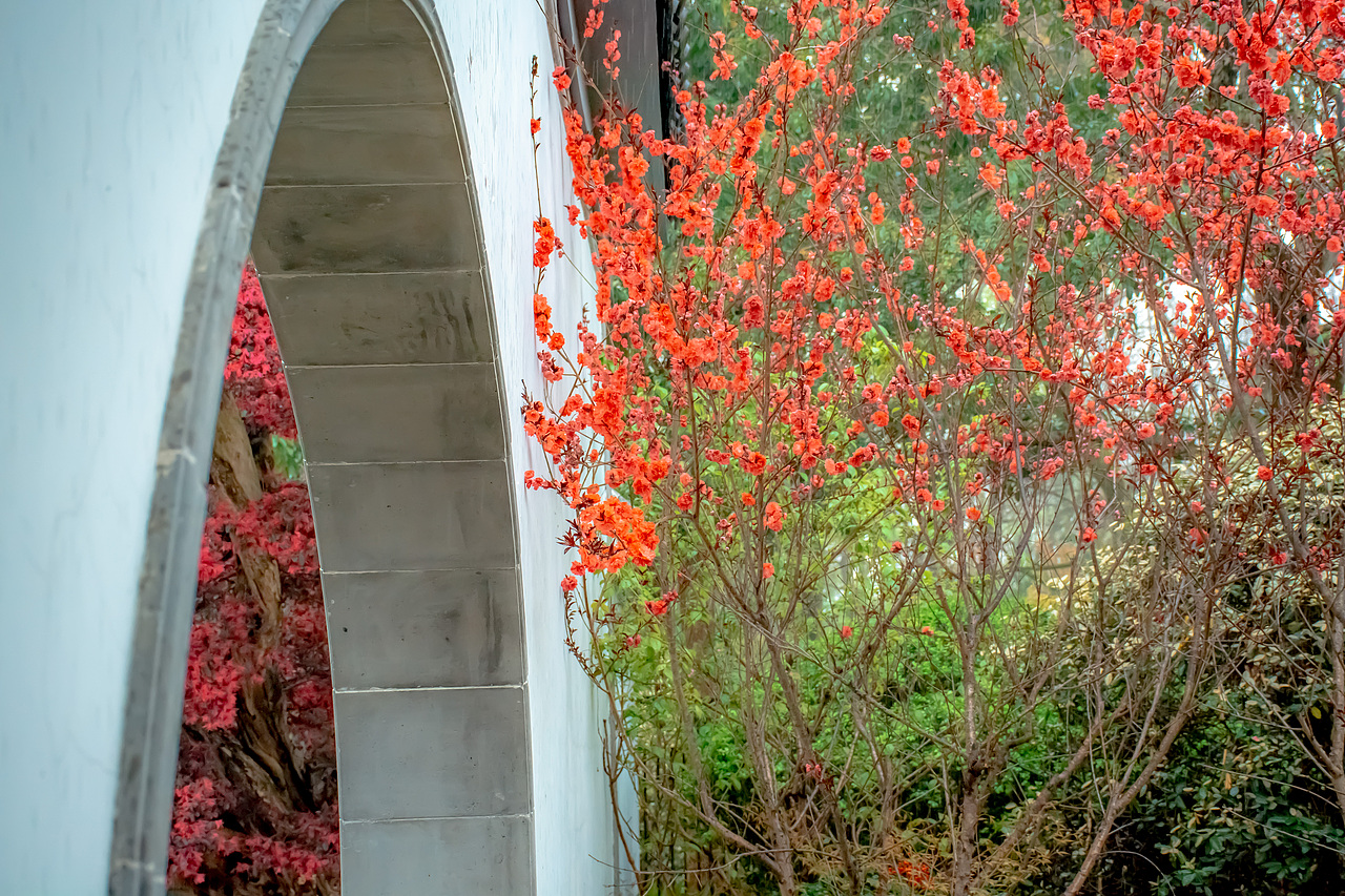 疫情下的植物园