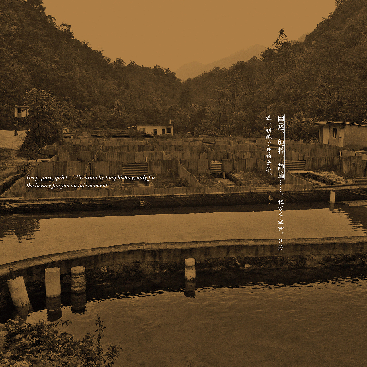 面膜包装设计 | 大鲵美肌 | 东德设计团队