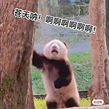 罗生门Kim的头像