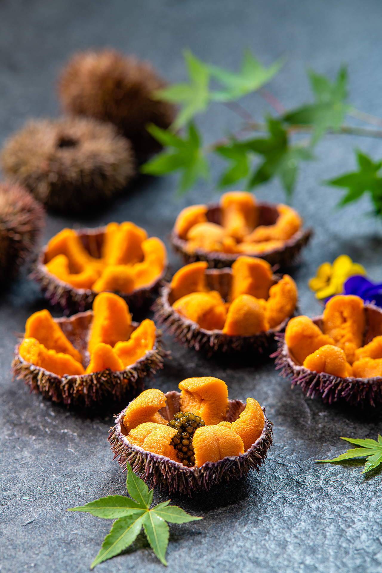 菁禧荟（图ZMjE0OTQzODI0） - 产品摄影 - 站酷设计师五行缺肉海鲜天敌原创素材 - 站酷ZCOOL