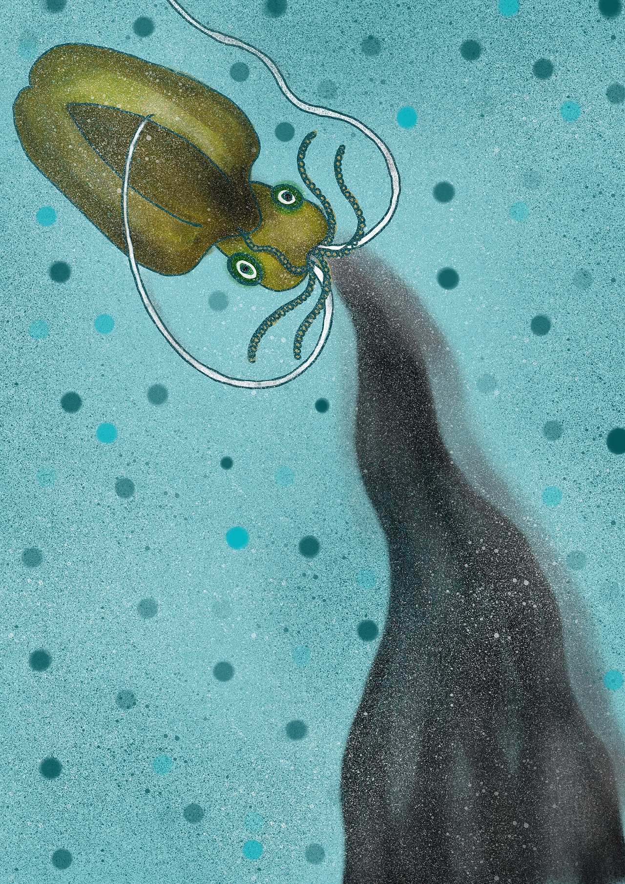 海错图笔记|插画|创作习作|momo茉酱_原创作品-站酷zcool