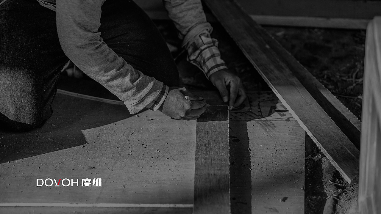 DOVOH 度维激光 LOGO