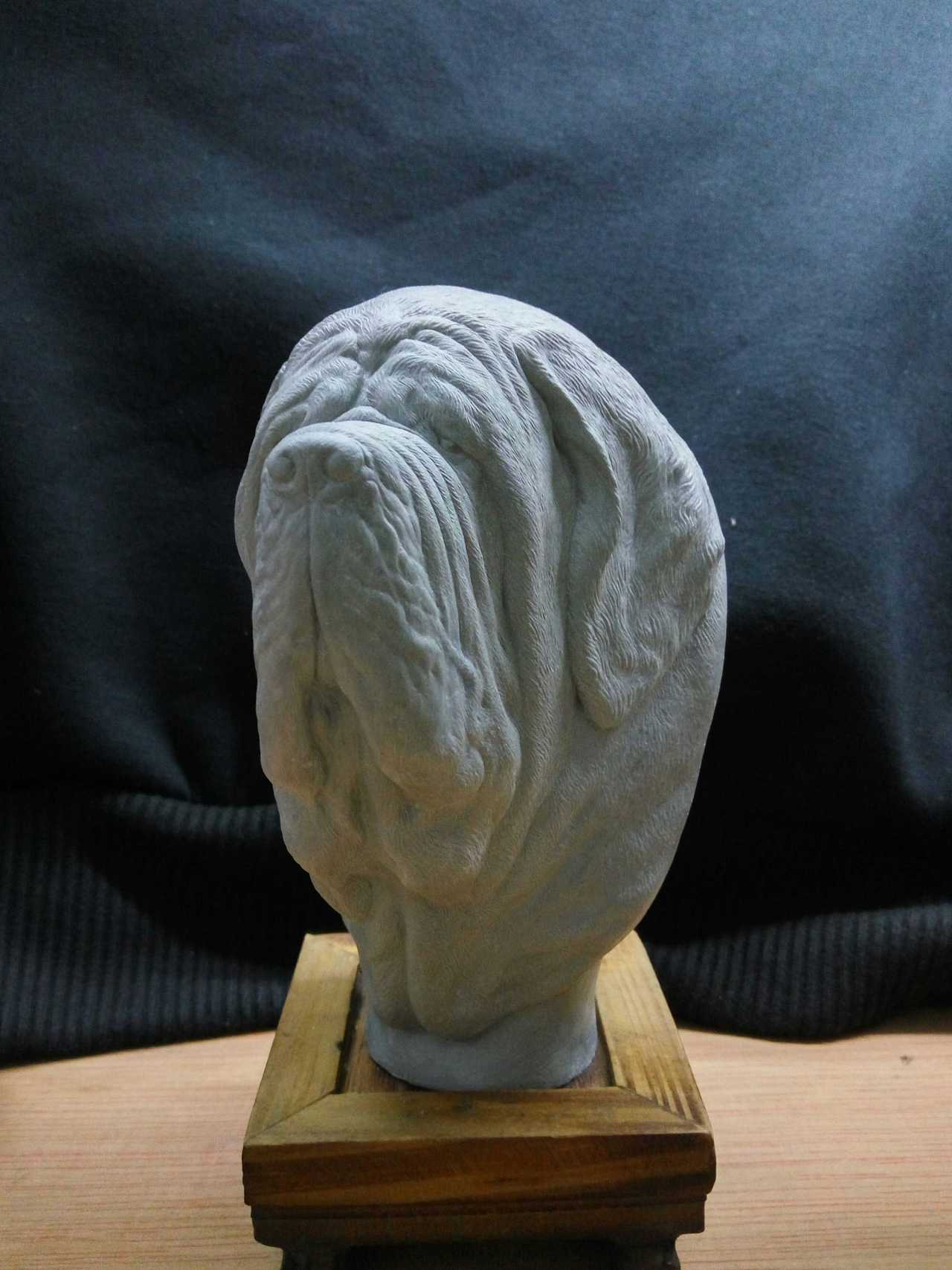 做了一只纽波利顿獒犬