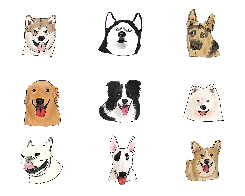 520测试你的单身狗指数!