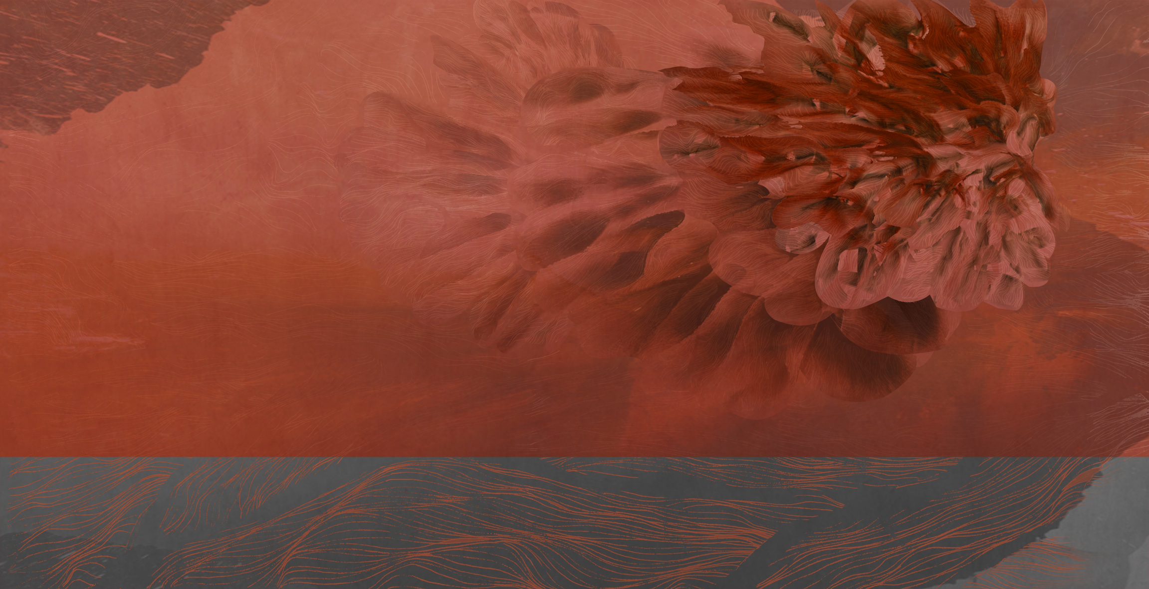 宇杰Design的个人主页（封面预览） - 主页封面设置 - 站酷设计师宇杰Design原创素材 - 站酷ZCOOL