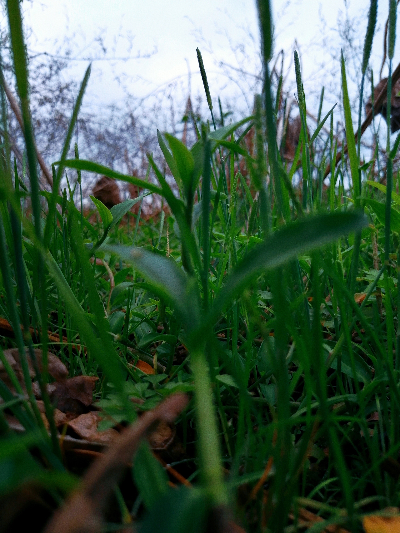 雨前风景（图ZMTk1ODA2MjYw） - 风光摄影 - 站酷设计师小玉米hym原创素材 - 站酷ZCOOL