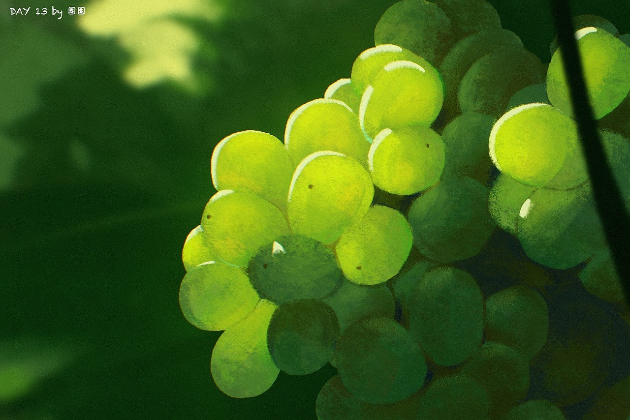 day13 跟画+3 依然是透光,进一步感受了光影二分法。先画出葡萄的外轮廓剪影,然后区分出亮暗部,颜色不要太突兀,有一点色彩变化即可。之后卡出闭塞部分,将葡萄粒的轮廓区分出来。画亮部的时候颜色是一层一层叠加的,越来越纯,色相也是从绿到黄的一点点渐变。