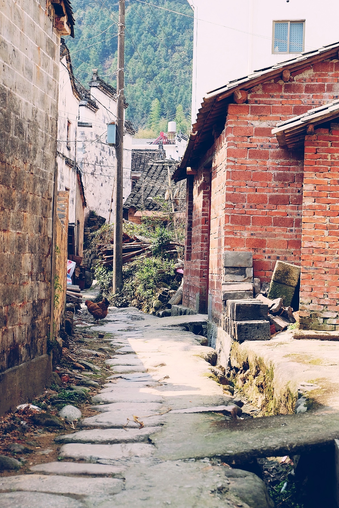 最美油菜花儿－江西婺源2016（图ZNDUyNzk2NDA=） - 风光摄影 - 站酷设计师CherryCheng原创素材 - 站酷ZCOOL