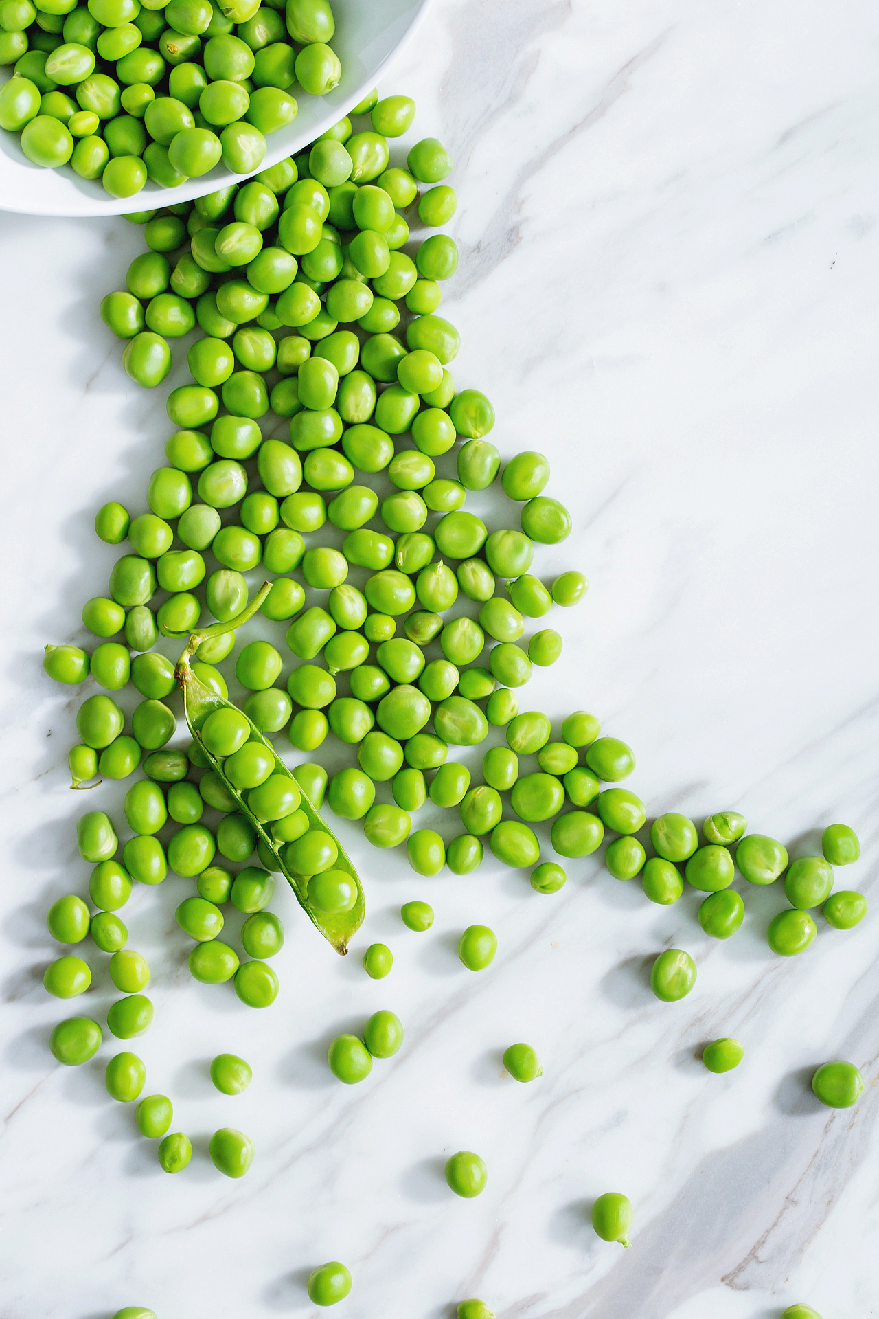 小船里我们就静静地坐着