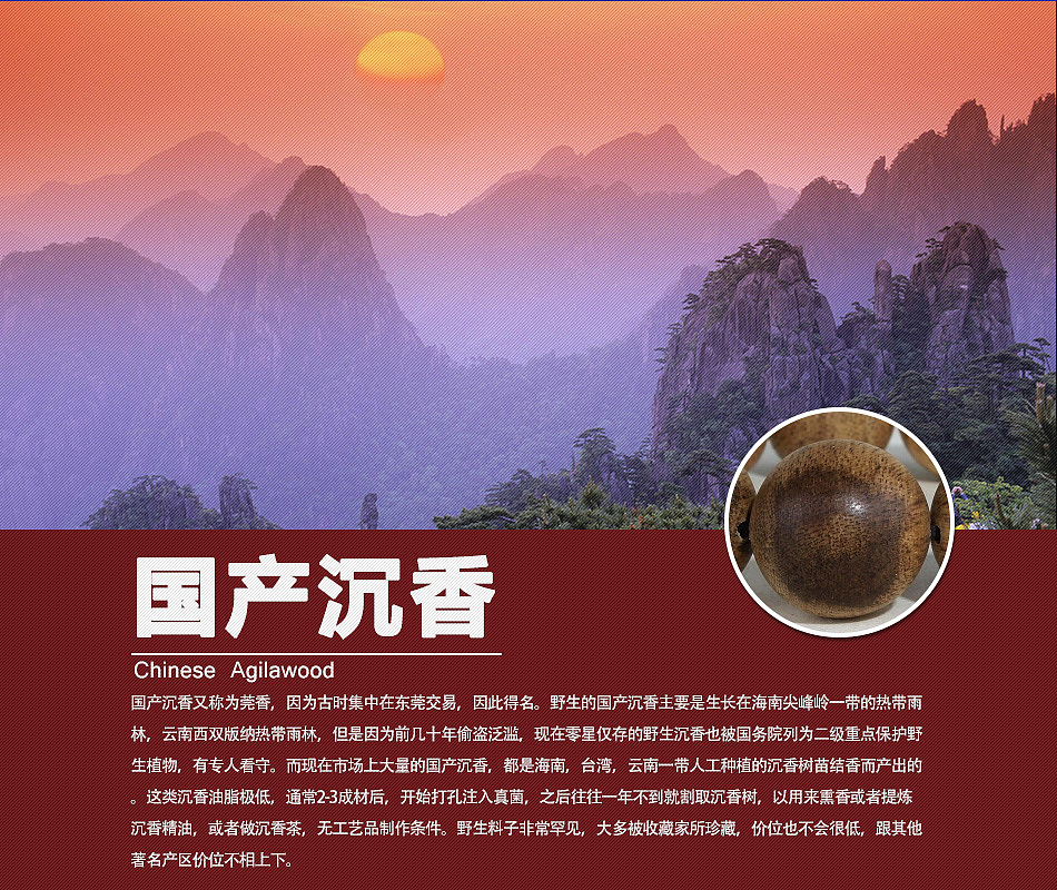 沉香产地介绍（图ZNzU0MTE4MDA=） - 电商 - 站酷设计师奈何重名太多原创素材 - 站酷ZCOOL