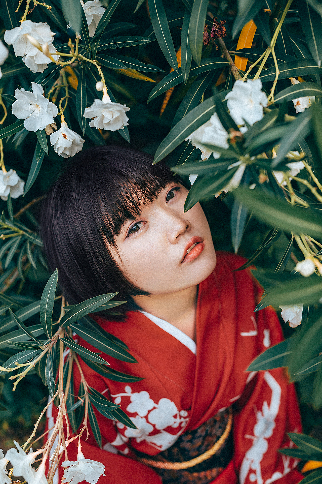 【 是夹竹桃啊 】（图ZMTE4NjQzODA0） - 人像摄影 - 站酷设计师张图图PHOTO原创素材 - 站酷ZCOOL