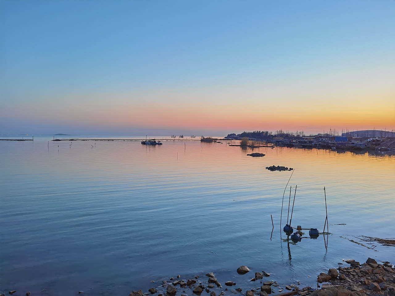玉兰花和爵士乐的夜晚