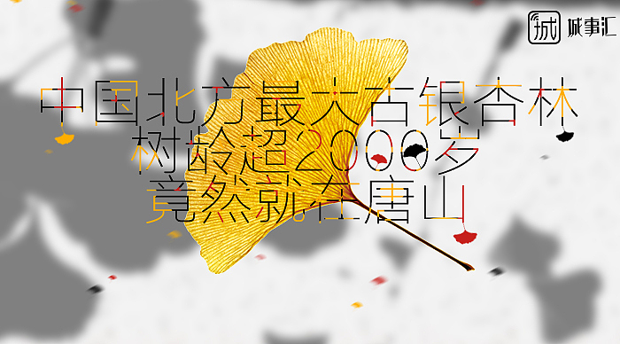 微信公共号封面图（图ZOTkyMjI2OTI=） - 海报 - 站酷设计师小小狐狸儿原创素材 - 站酷ZCOOL