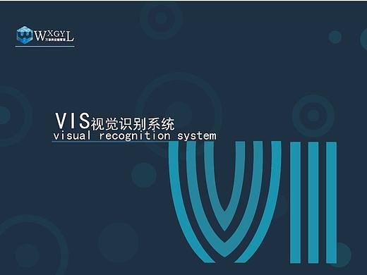 Vi视觉手册设计