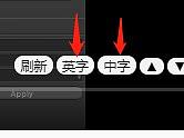 下载YouTube字幕