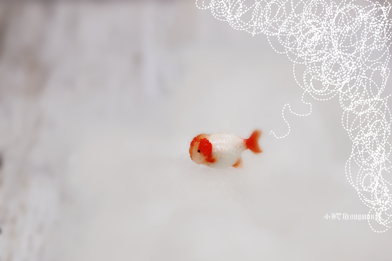 粘土自制微缩兰寿小金鱼