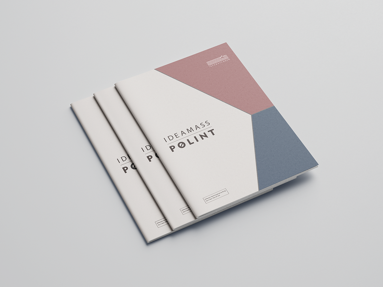 益立-IDEAMASS意得美嘉 POLINT产品画册