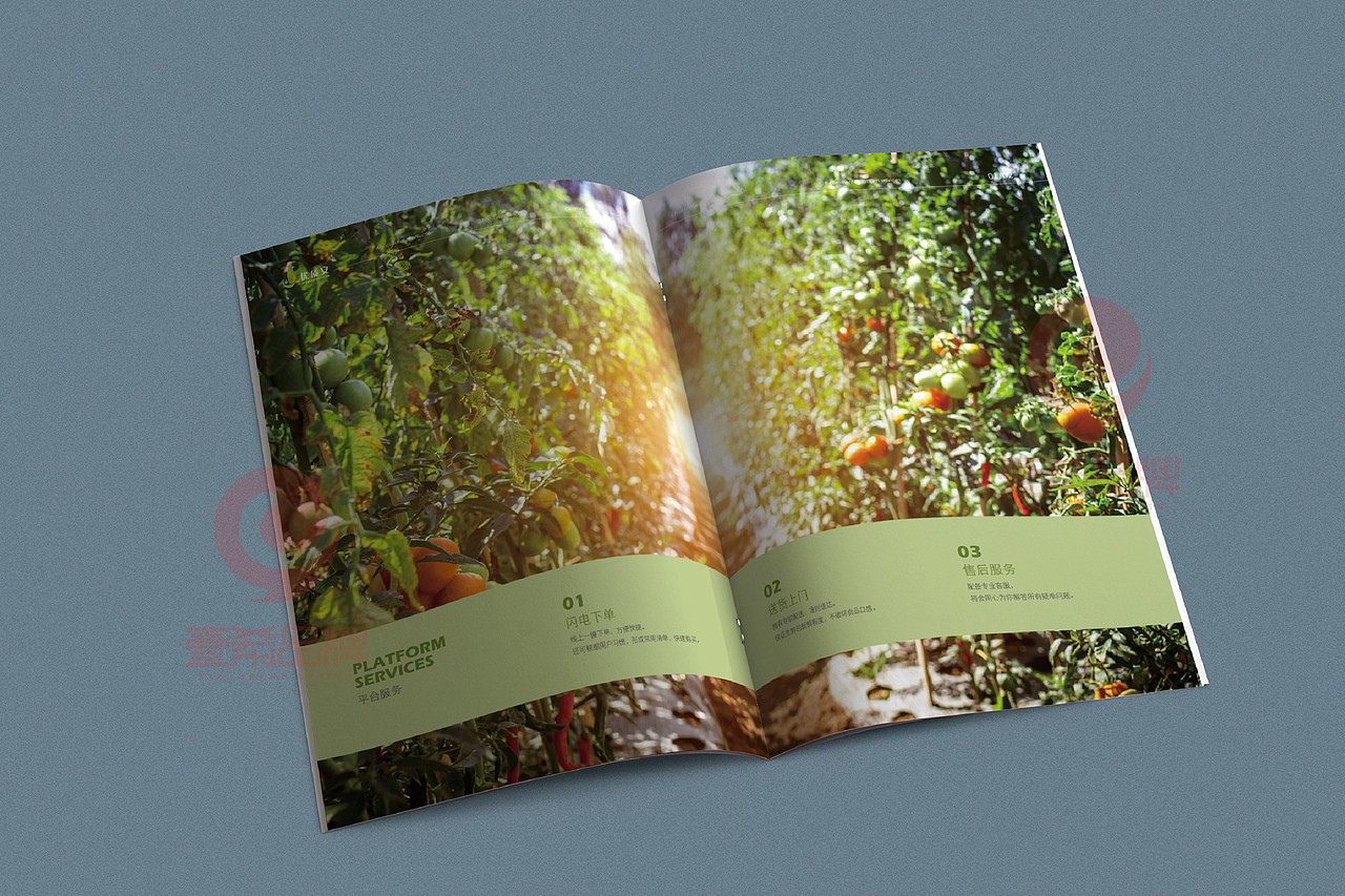 一希品牌设计--餐饮管理服务公司画册宣传册设计