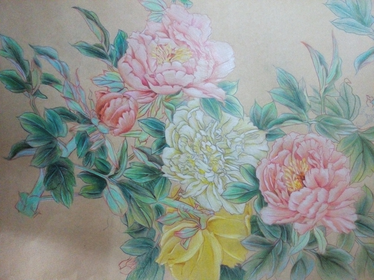 大學(xué)手繪（圖ZOTQxMzA2Mjg=） - 創(chuàng)作習(xí)作 - 站酷設(shè)計(jì)師溪牛原創(chuàng)素材 - 站酷ZCOOL