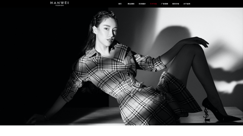 涵洧视觉官网（图ZMjExMzE1MTQw） - 企业官网 - 站酷设计师玻弹儿原创素材 - 站酷ZCOOL