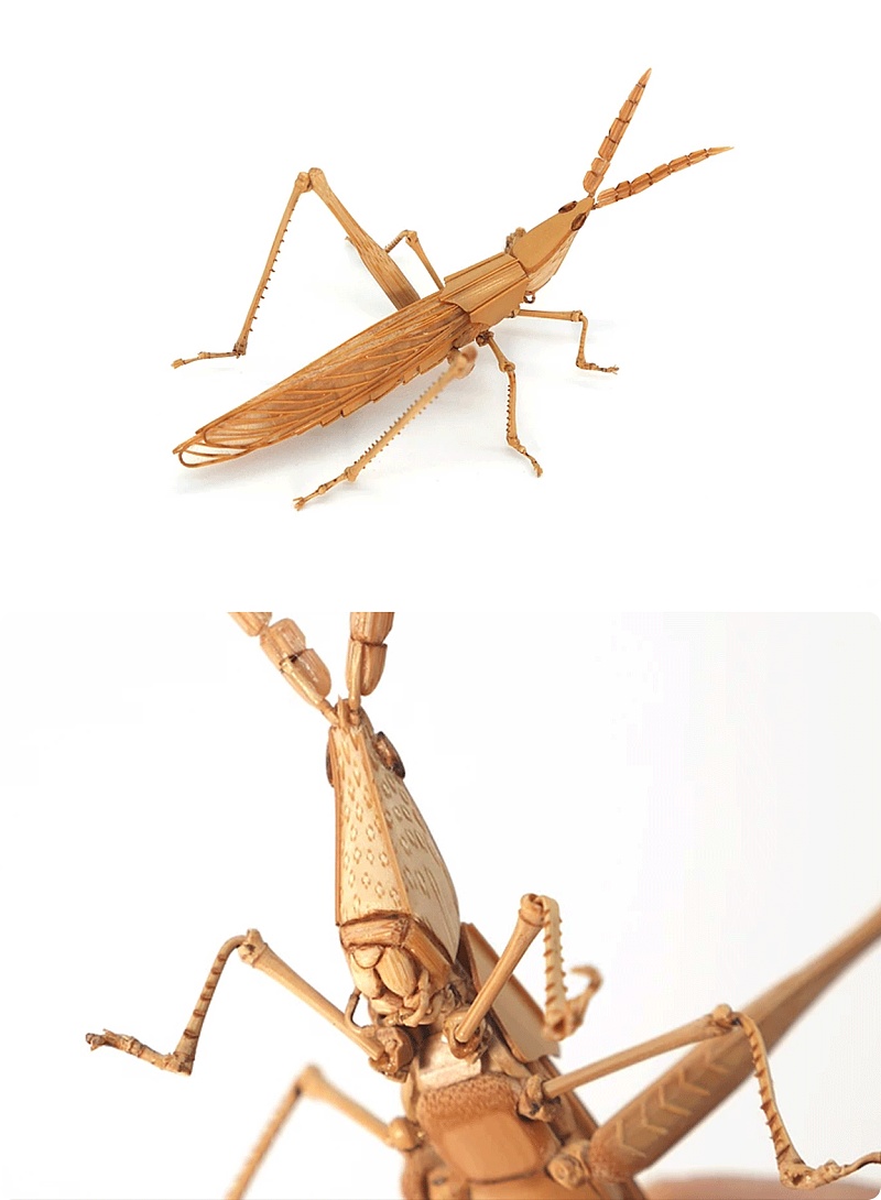 的是昆虫的模型令人叹为观止昆虫的造型精致程度他用竹子制作了大量1