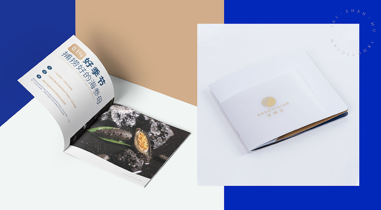 奥陶纪海参母-品牌全案设计（图ZMjgzODI4OTg4） - 品牌 - 站酷设计师一山半海品牌设计原创素材 - 站酷ZCOOL