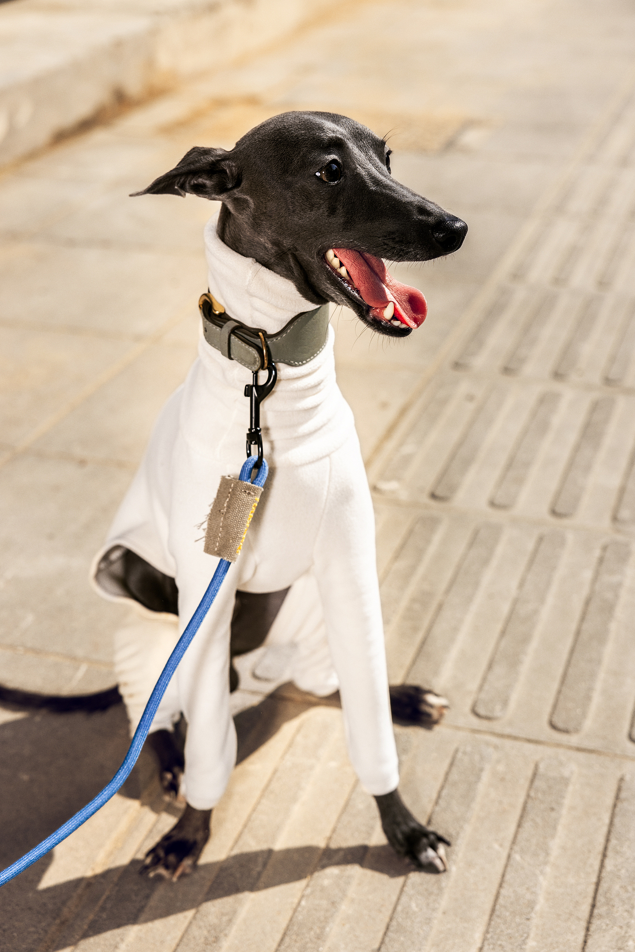 品牌:MAIA ACTIVE(修图)