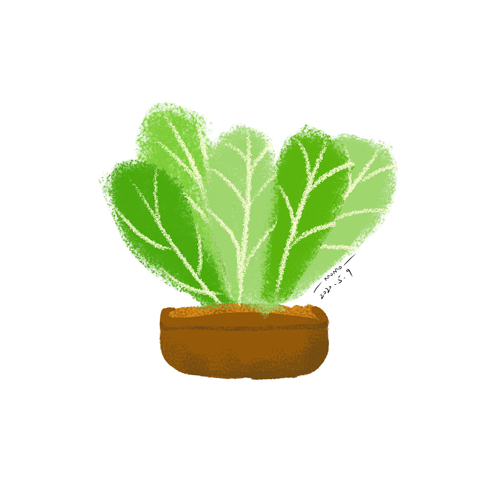 绿色小植物插画