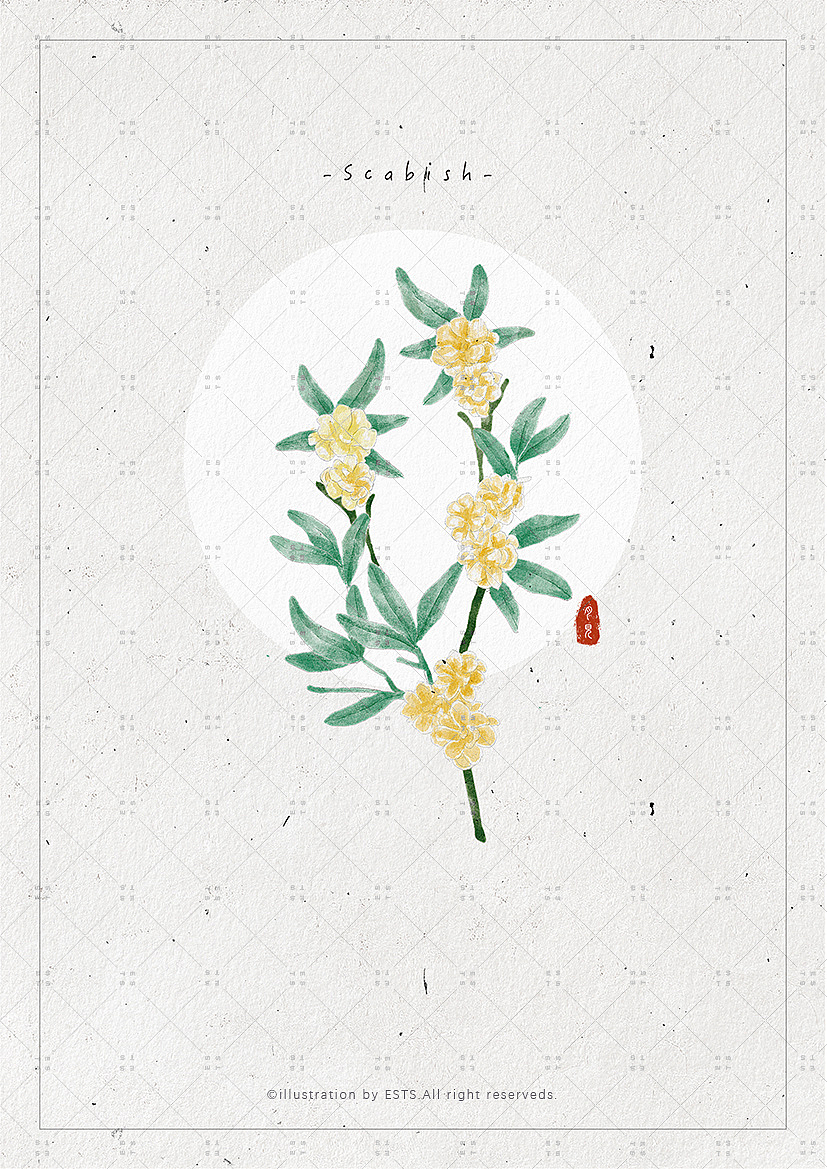 那些花儿-肆（图ZMTM3OTQwMDIw） - 创作习作 - 站酷设计师ESTS原创素材 - 站酷ZCOOL