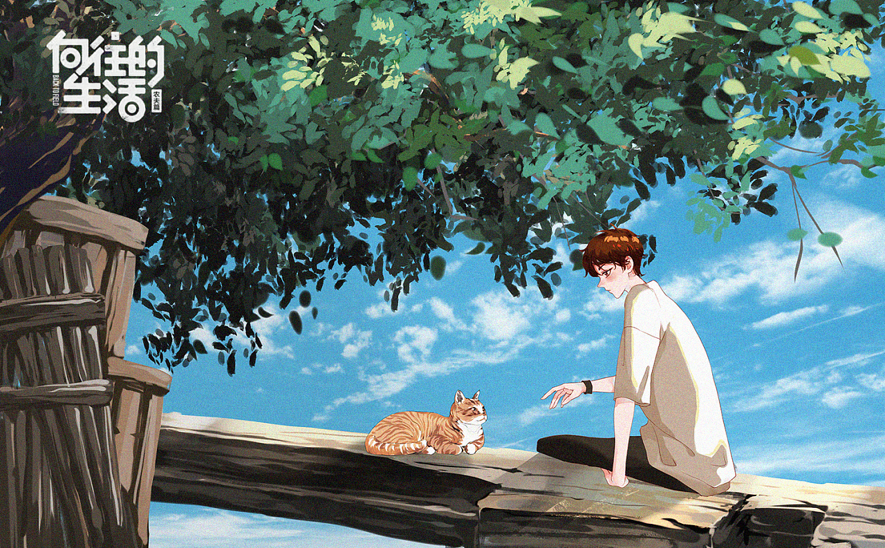 夏日3-猫与少年