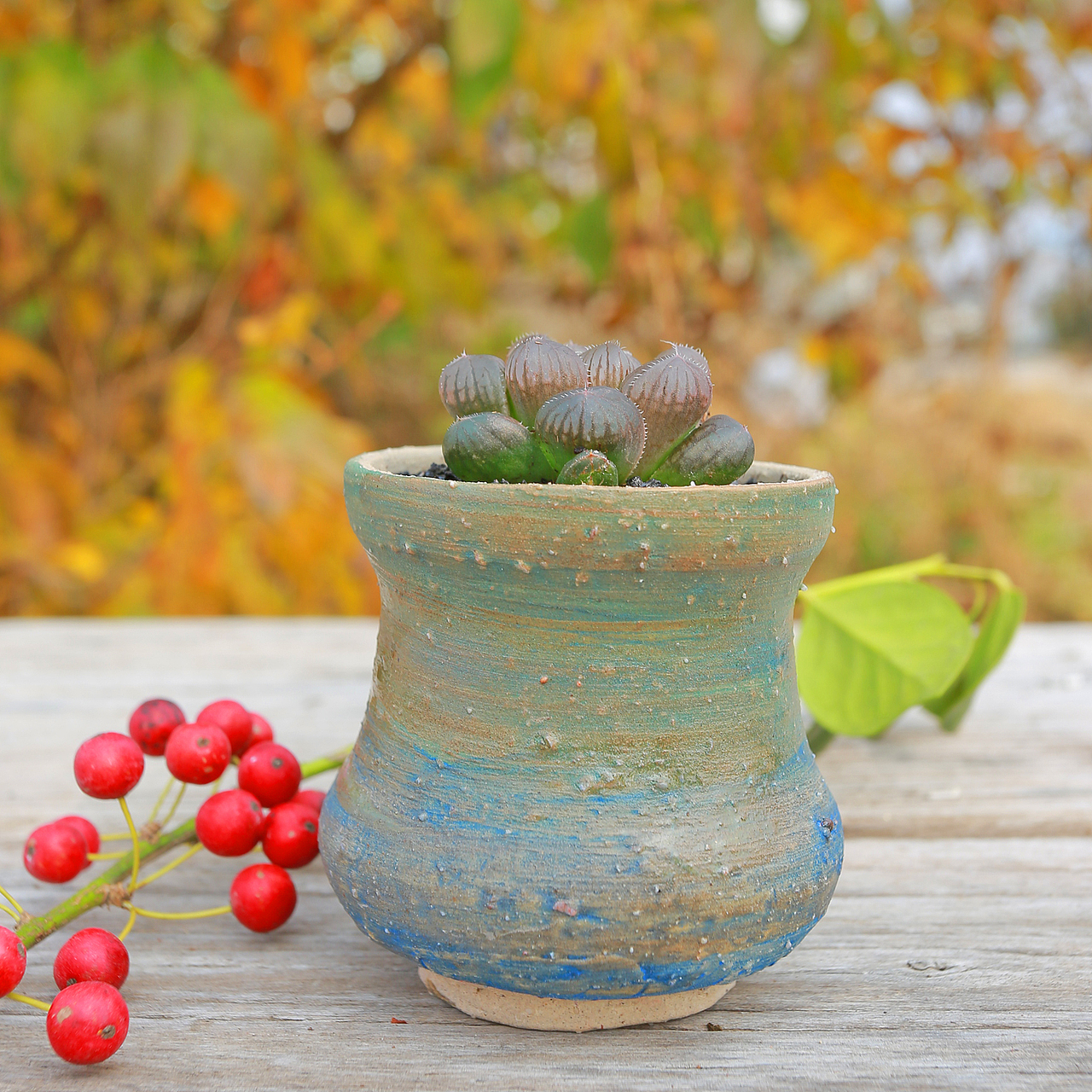 金凤玉露一相逢，便盛却人间无数（图ZMTM2ODM2OTY4） - 产品摄影 - 站酷设计师溪隐创意原创素材 - 站酷ZCOOL