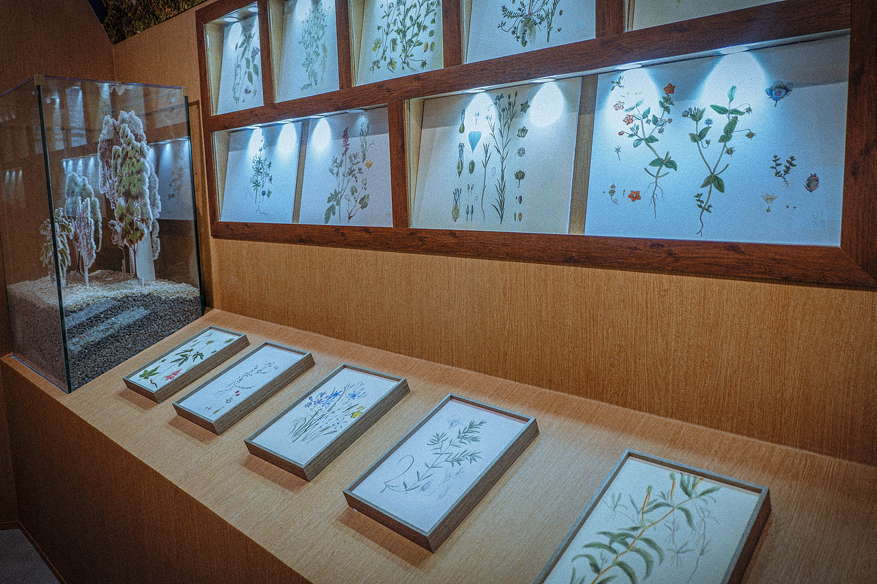 2023 中秋国庆外出外食篇