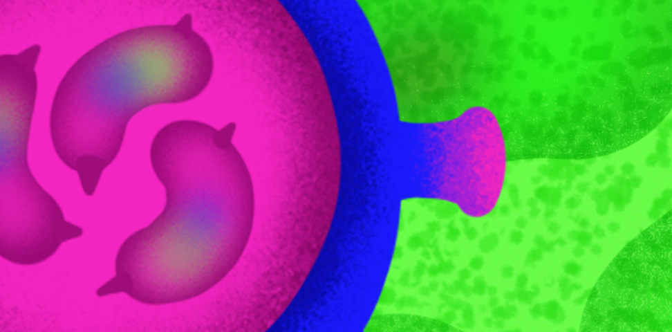 《病·毒》系列——【变异】艺术插画创作