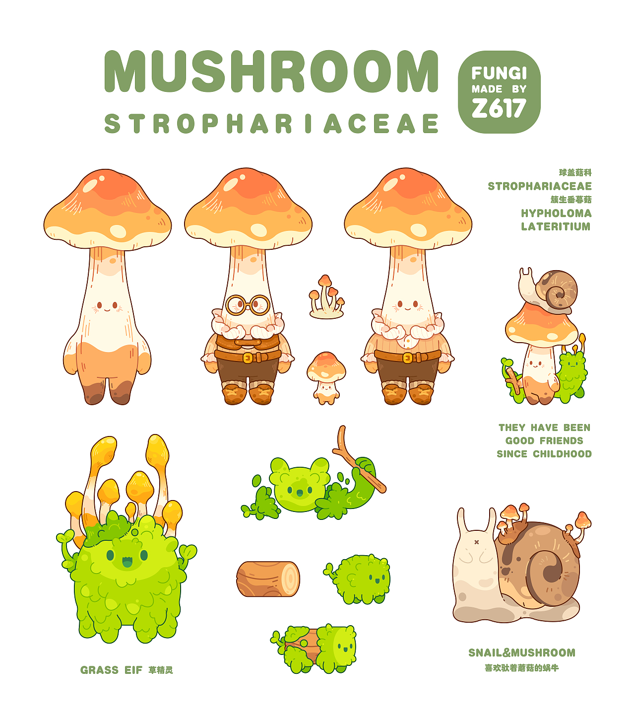 Mushroom球盖菇菌